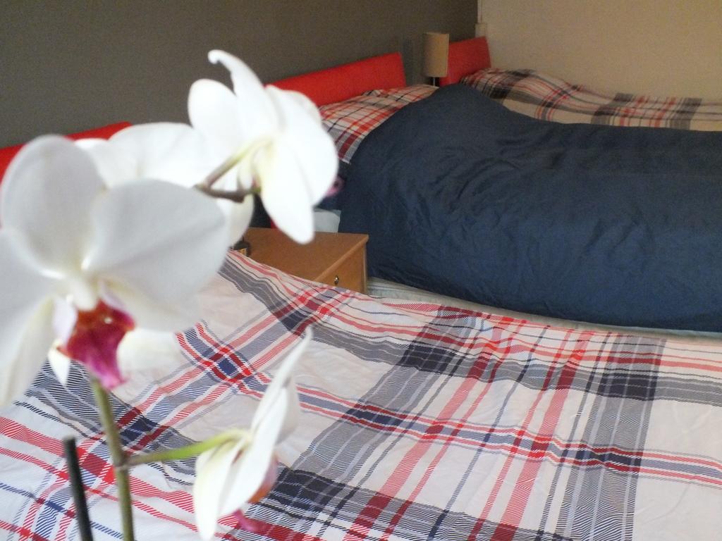 Bonna'S Bed And Breakfast Builth Wells Ngoại thất bức ảnh